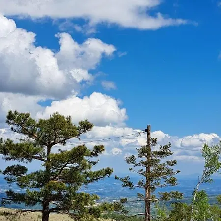 Zeleni Bor * Divčibare