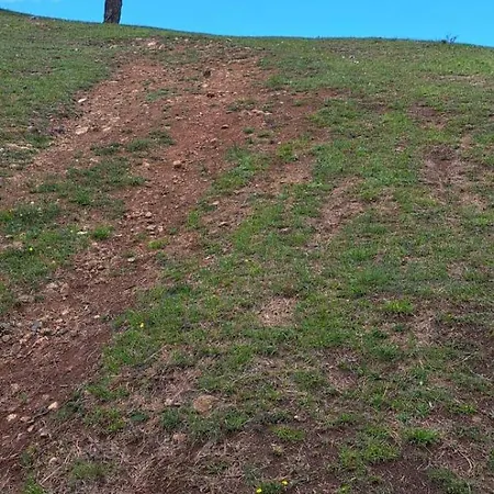 Διαμέρισμα Zeleni Bor Divčibare