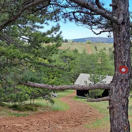 Zeleni Bor * Divčibare