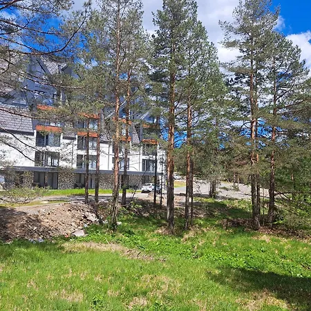 Zeleni Bor * Divčibare