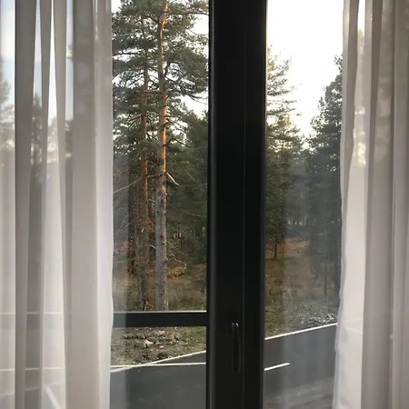 Zeleni Bor * Divčibare