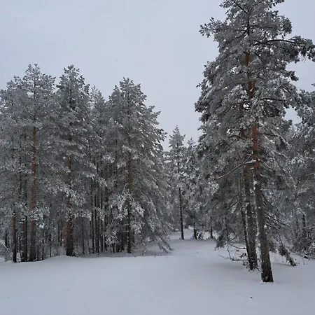 Zeleni Bor Διαμέρισμα Divčibare