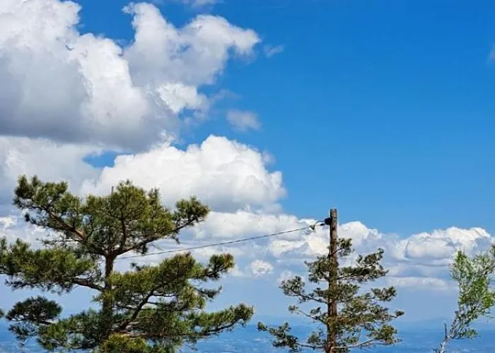 Zeleni Bor * Divčibare