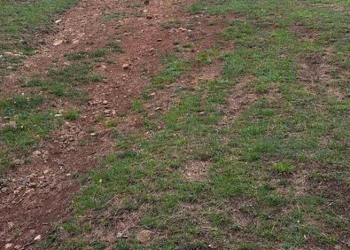 Апартаменты Zeleni Bor Дивчибаре