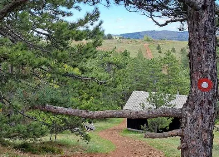 Zeleni Bor * Дивчибаре