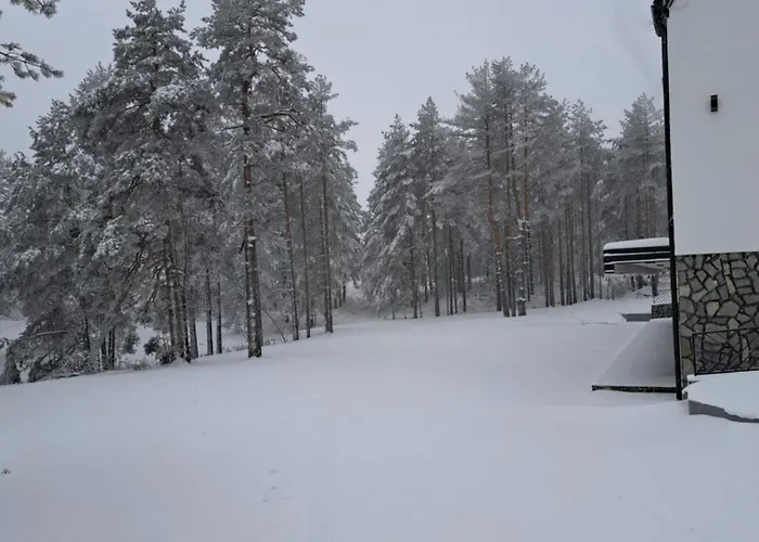 Zeleni Bor Апартаменты