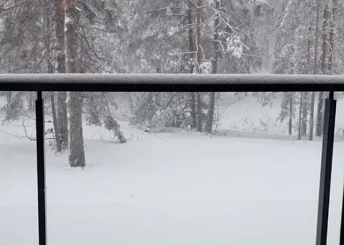 Zeleni Bor Divčibare