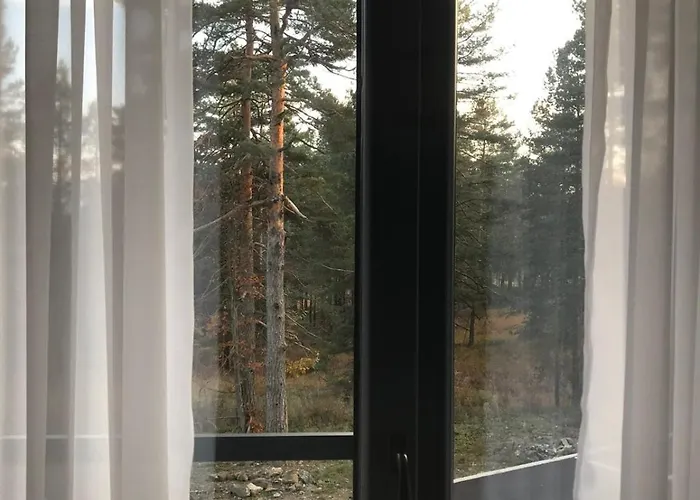 Zeleni Bor * Дивчибаре