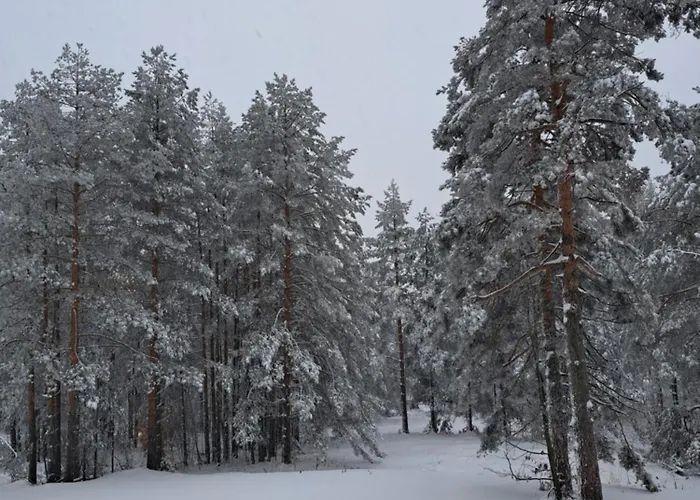 Zeleni Bor Апартаменты Дивчибаре