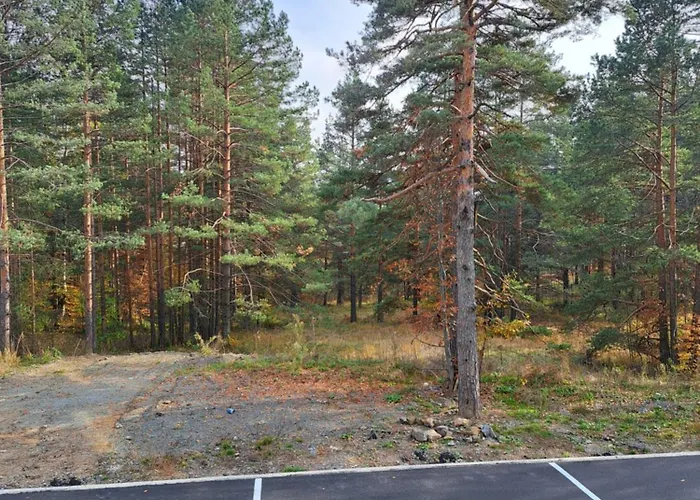 Апартаменты Zeleni Bor